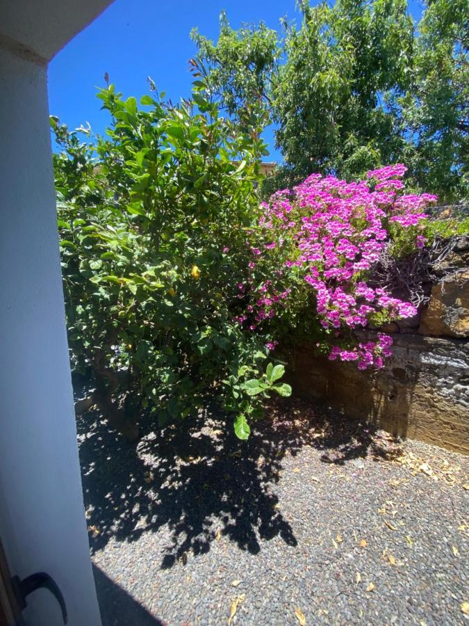 Vivienda Vacacional Casa Pancho Taibique Zewnętrze zdjęcie
